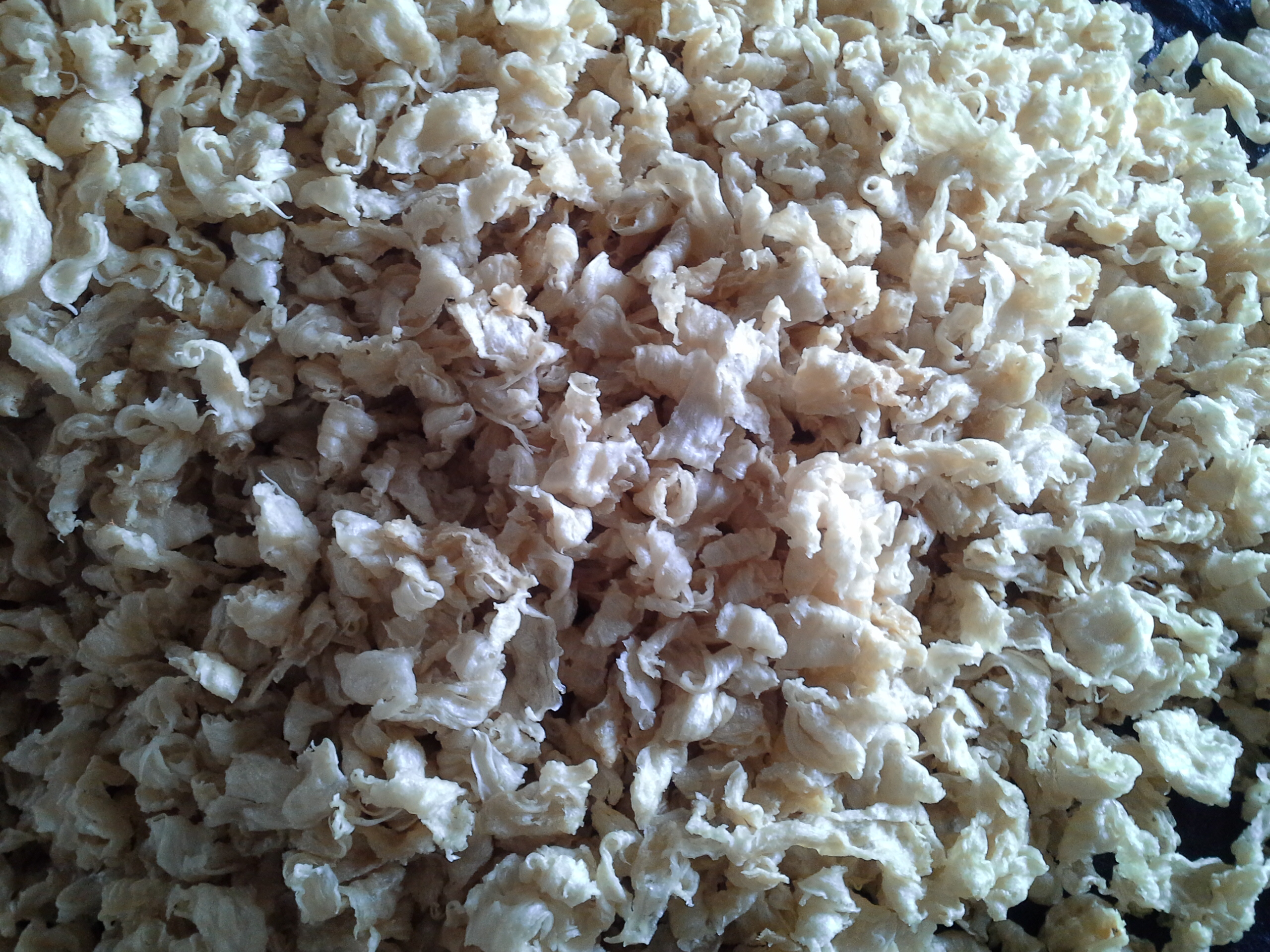 DRIED FISH MAW