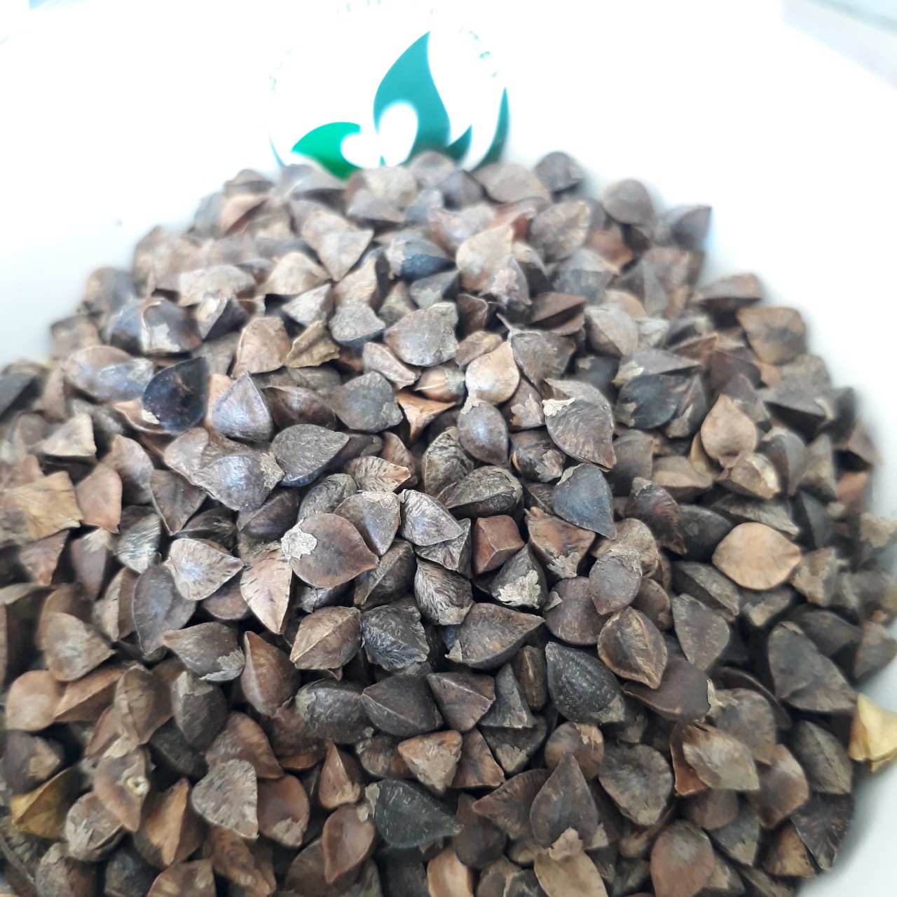 HẠT BA KHÍA ( KIỀU MẠCH)