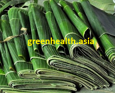 Lá Chuối