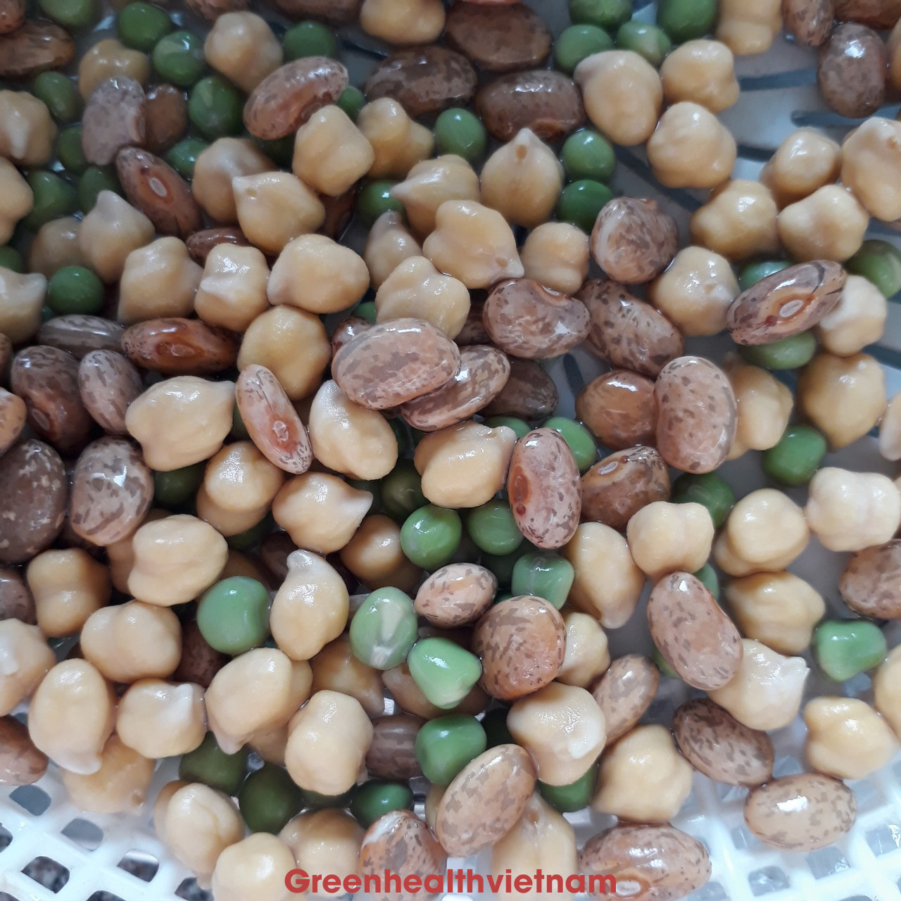Lợi ích của đậu trong đời sống hiện đại 