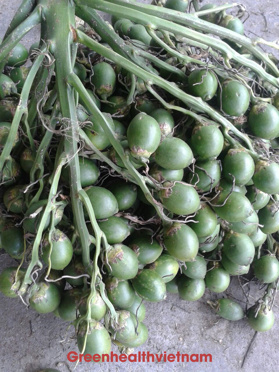 Trái cau non đông lạnh