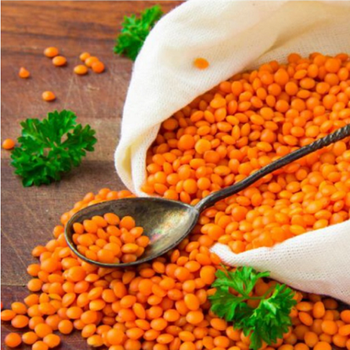 Bạn đã biết đậu lăng vàng chưa?
